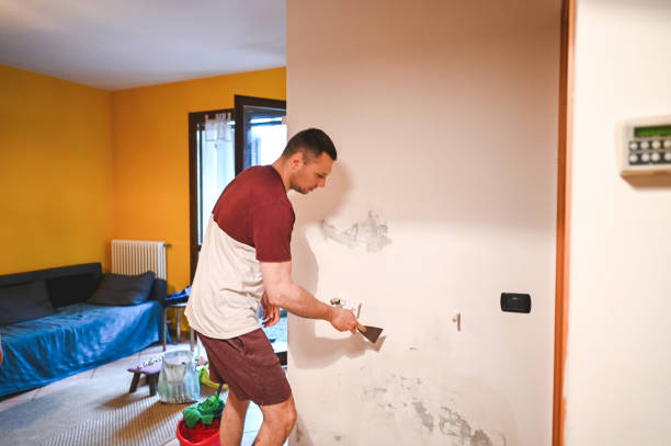 Best Affordable Mold Removal  in Reedspt, OR